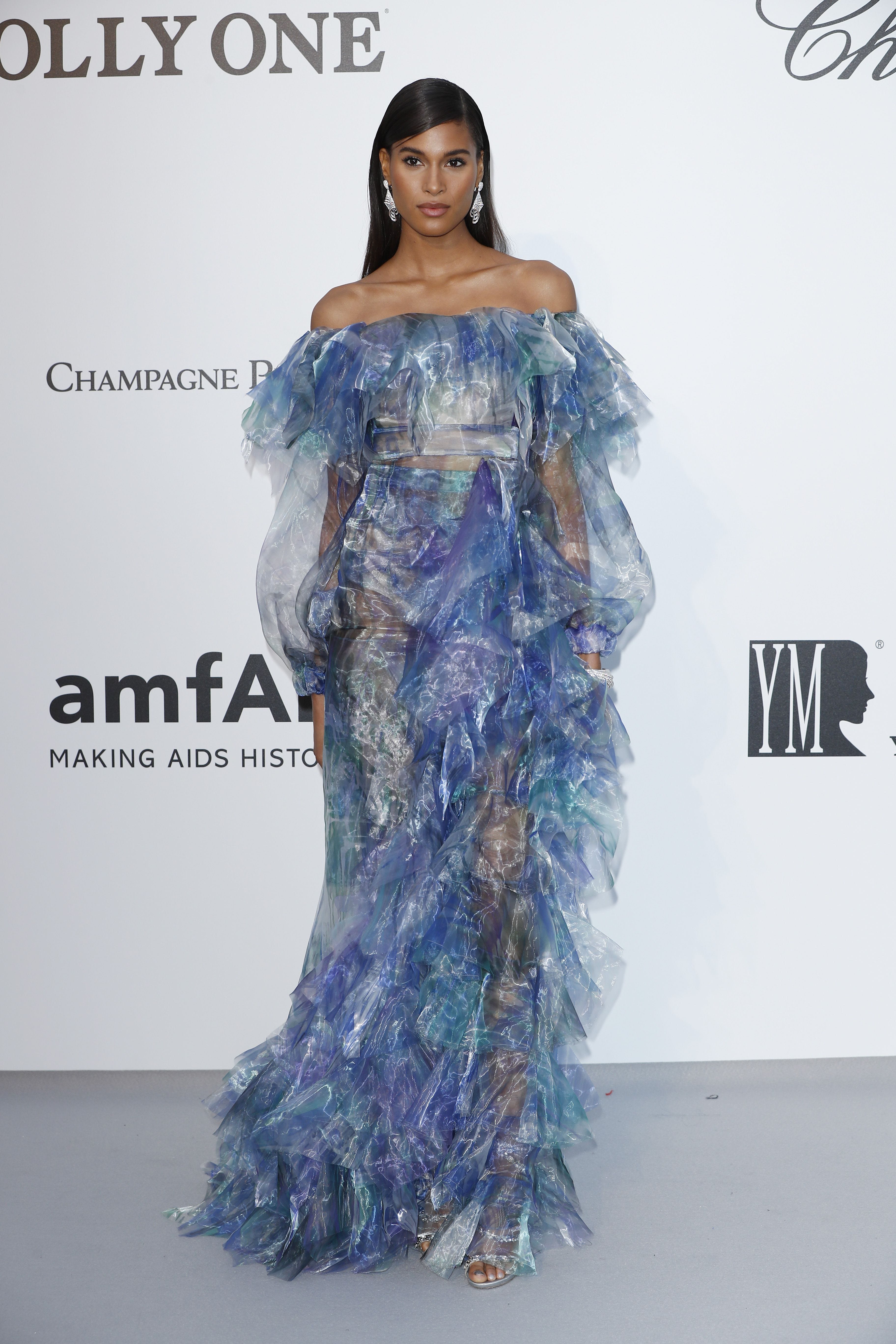 Best amfAR Gala Dresses of 2019 - amfAR Cannes Gala Red Carpet ...