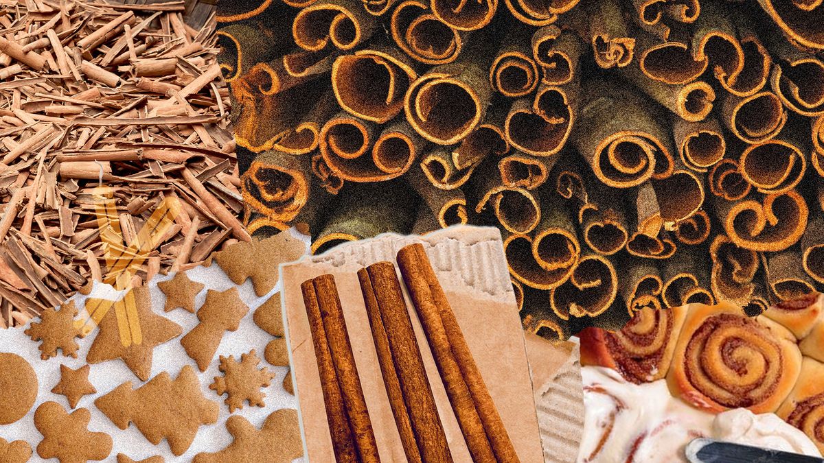 preview for Everything You Need To Know About Cinnamon