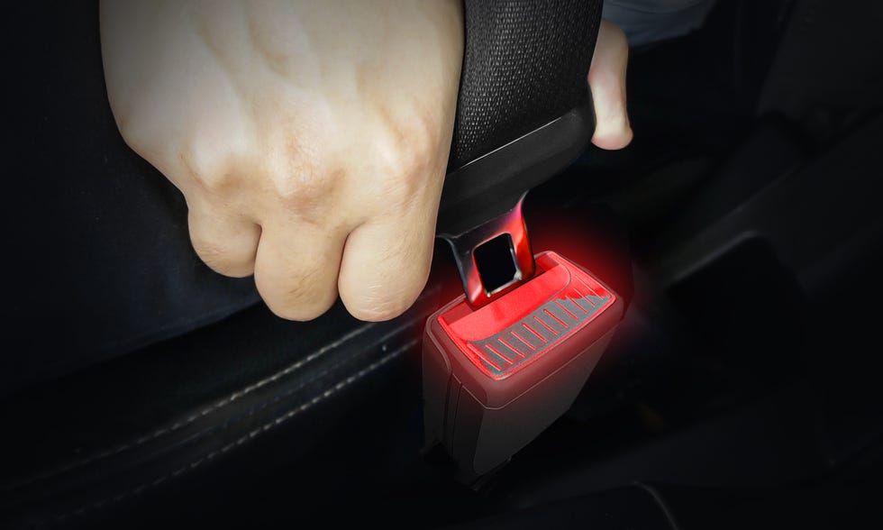 Seat Belt And Fashion
