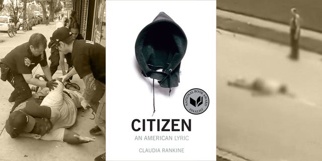 citizen, police violence