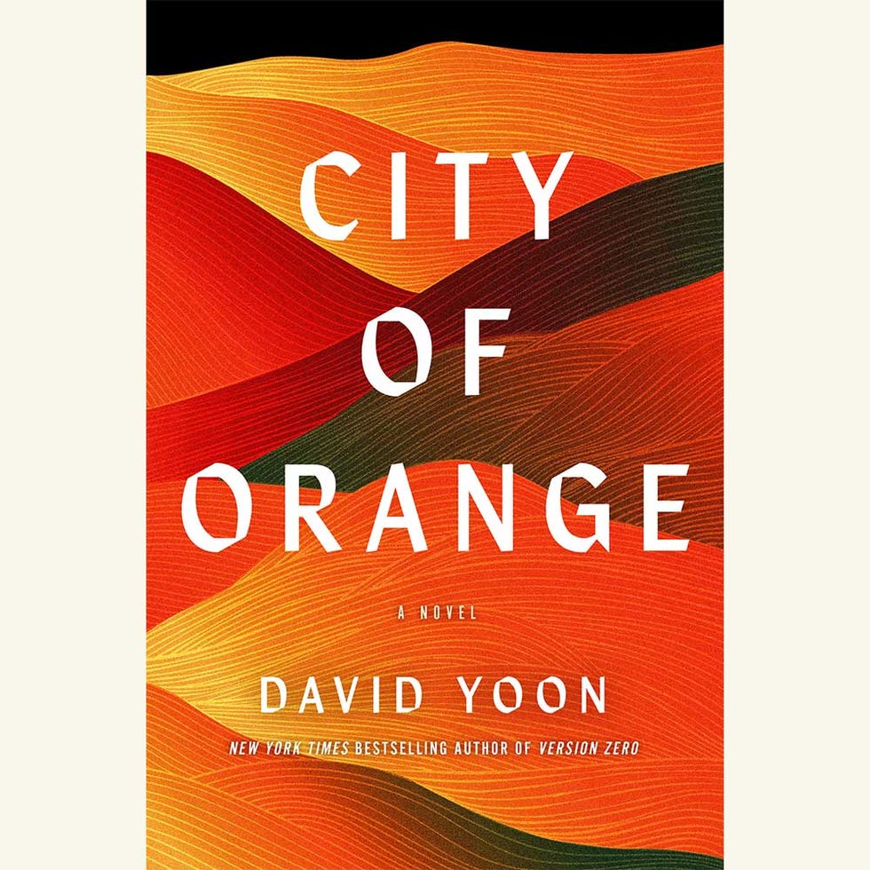 city of orange, david yoon
