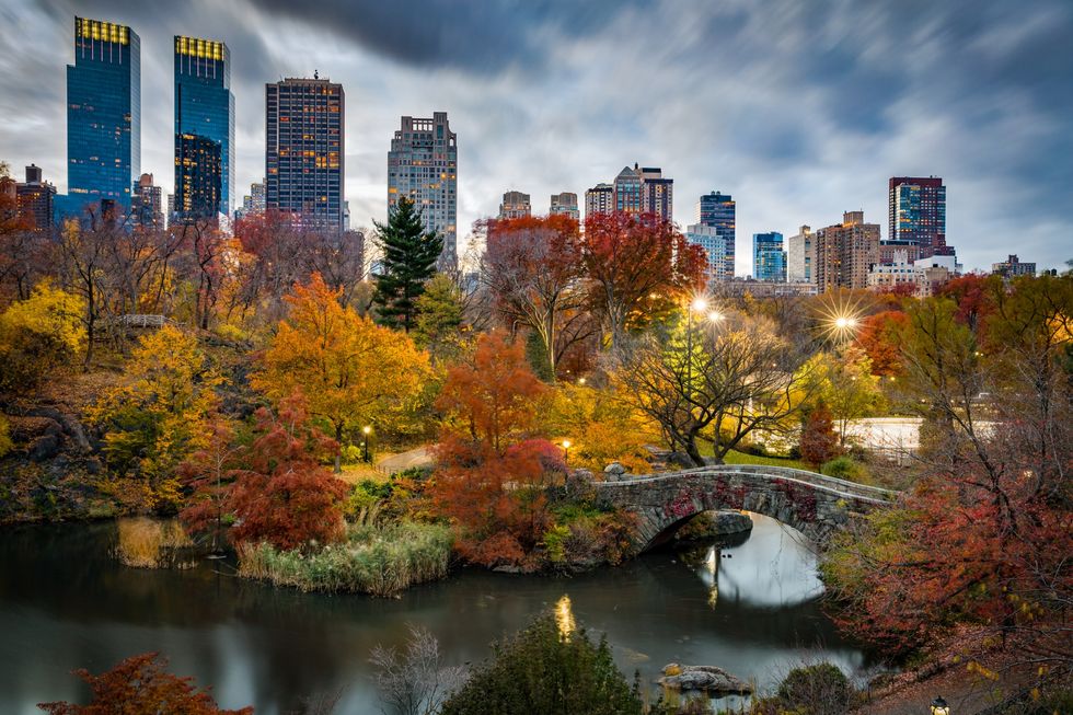 central park with autumn colors during dusk, new york city