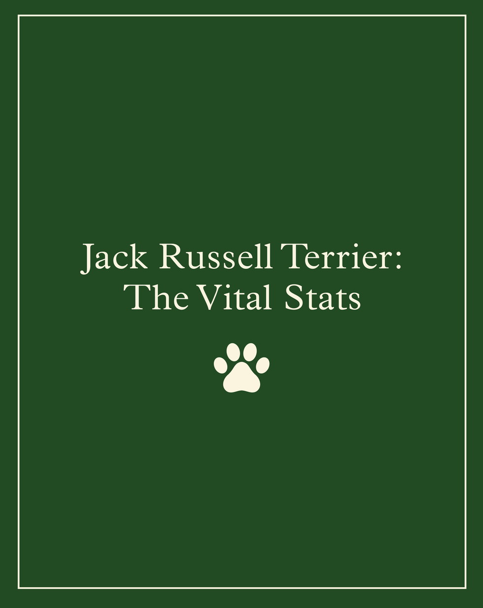 Five universal personality traits of the Jack Russell terrier