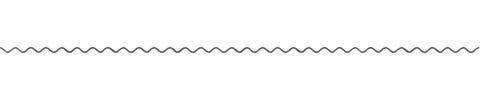 line to separate Black squiggly line to separate sections