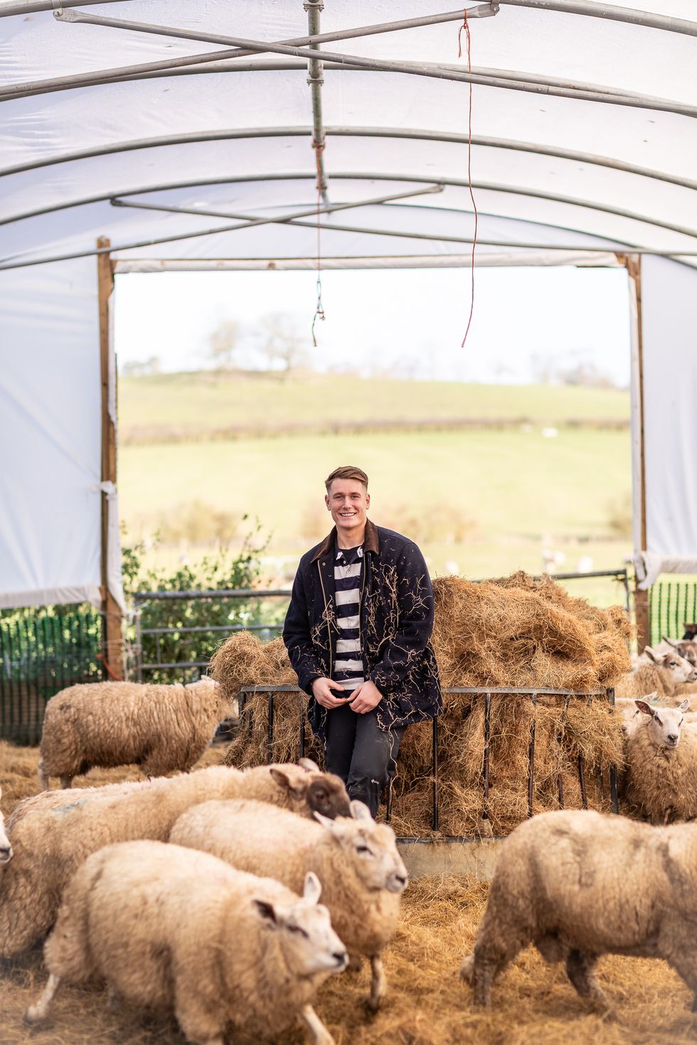 farmer will with his sheep