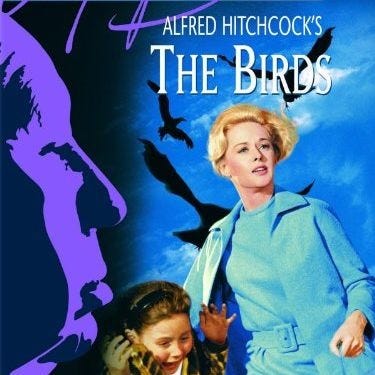 the poster for the classic horror movie the birds, featuring a mother and daughter running away from killer birds