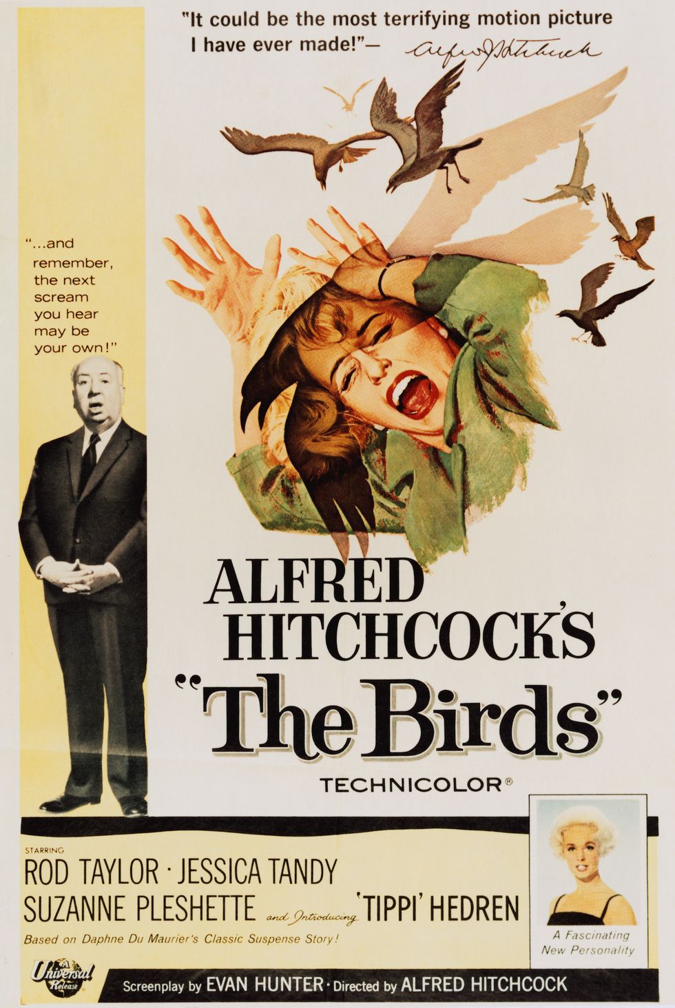 classic horror movies, the birds