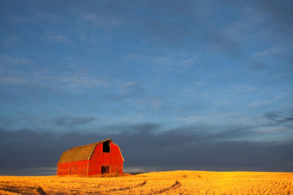 Classic Red Barn in the Midwest During Fall Harvest