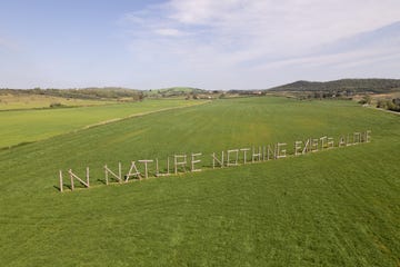 claudia comte, in nature nothing exists alone, fattoria stendardi, pescia fiorentina