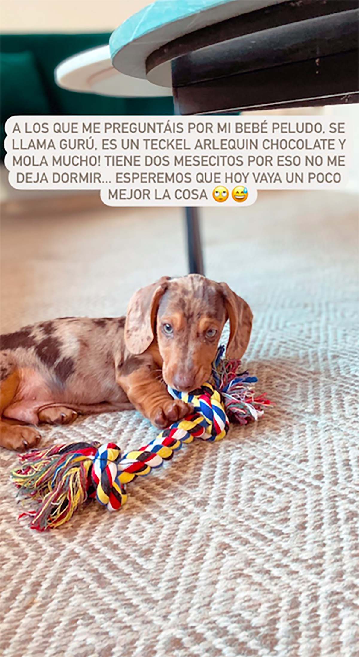claudia osborne perrito