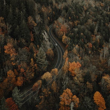 a winding road through a forest