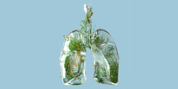 air lungs