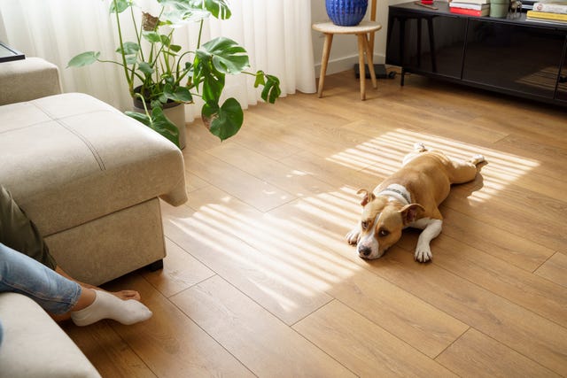 clean laminate floors