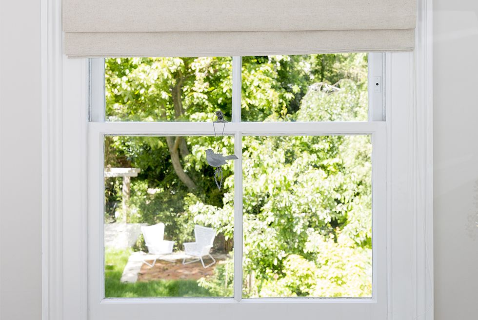 White, Window, Room, Interior design, Window covering, Leaf, Plant, Window treatment, Tree, Home, 