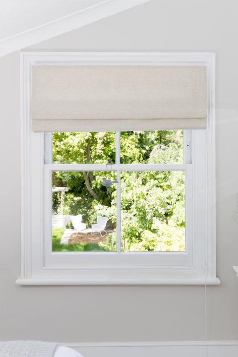 White, Window, Room, Interior design, Window covering, Leaf, Plant, Window treatment, Tree, Home, 