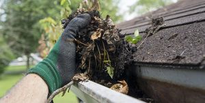 Cleaning Gutters During The Summer