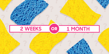 what are your cleaning habits