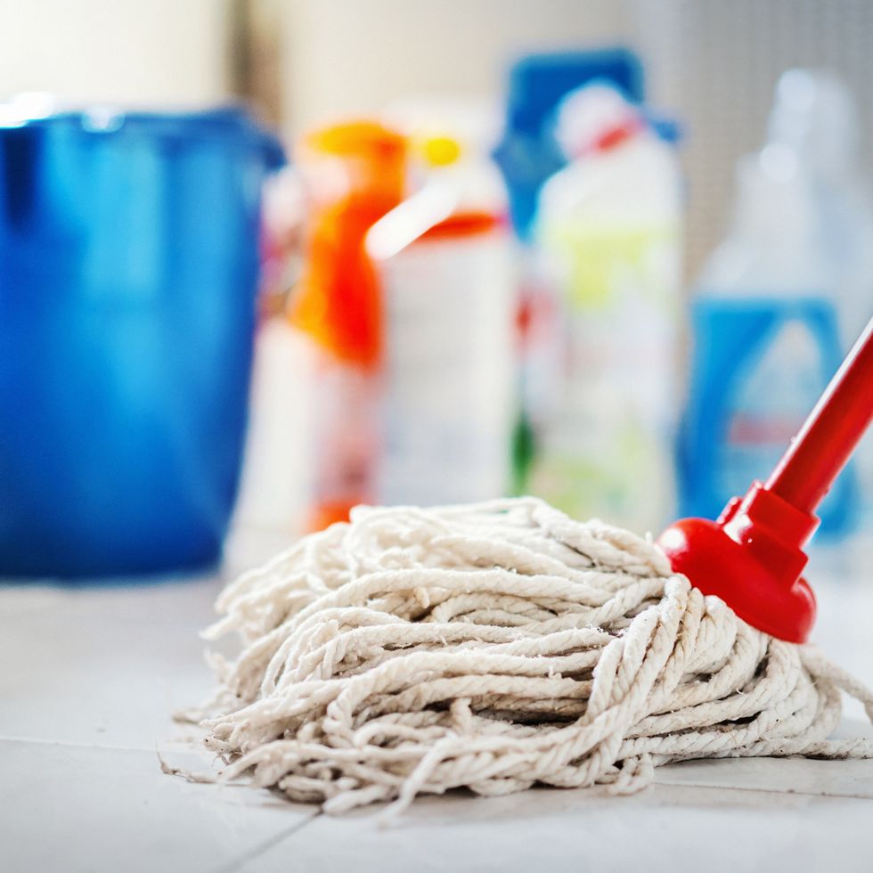 Damp Duster Sponge Brush Multi-Purpose Household Cleaning Supplies, 4 pcs