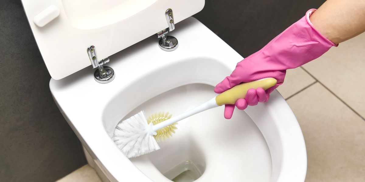 Drip-Free Toilet Brush and Holder – ELYPRO