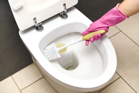 cleaning toilet with toilet brush