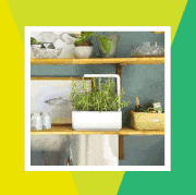 click and grow smart planter