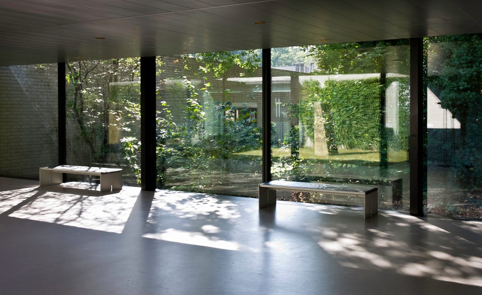 view on green courtyard