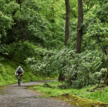 a person riding a bike on a climb through a wooded area