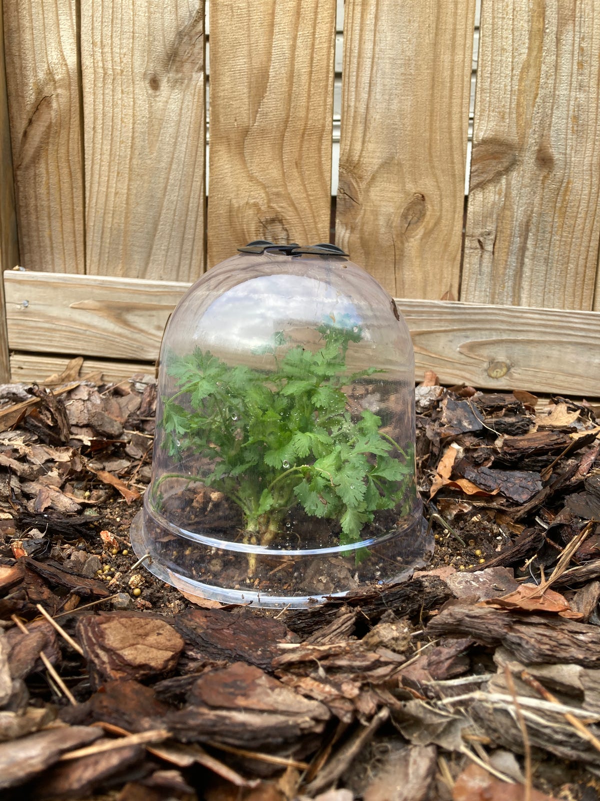 This Old-School French Garden Tool Is a Green Thumb’s Secret Weapon