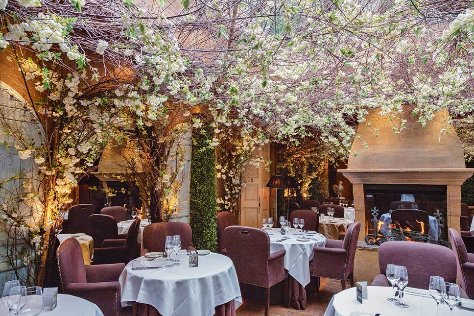 Restaurant, Function hall, Tree, Room, Building, Table, Interior design, Branch, Architecture, Party, 