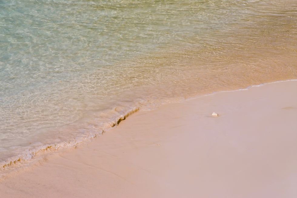 bermuda pink sand beach
