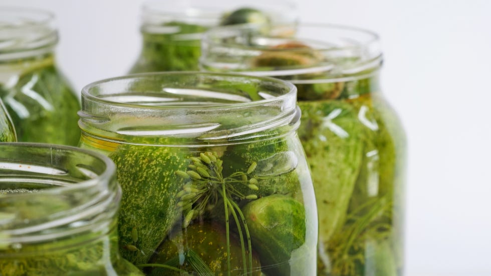 close up glass jars filled with fresh cucumbers,dill,garlic and black pepper and poured with brine white backgroundcanning,pickling fermenting vegetableshomemade pickling cucumber recipescopy space