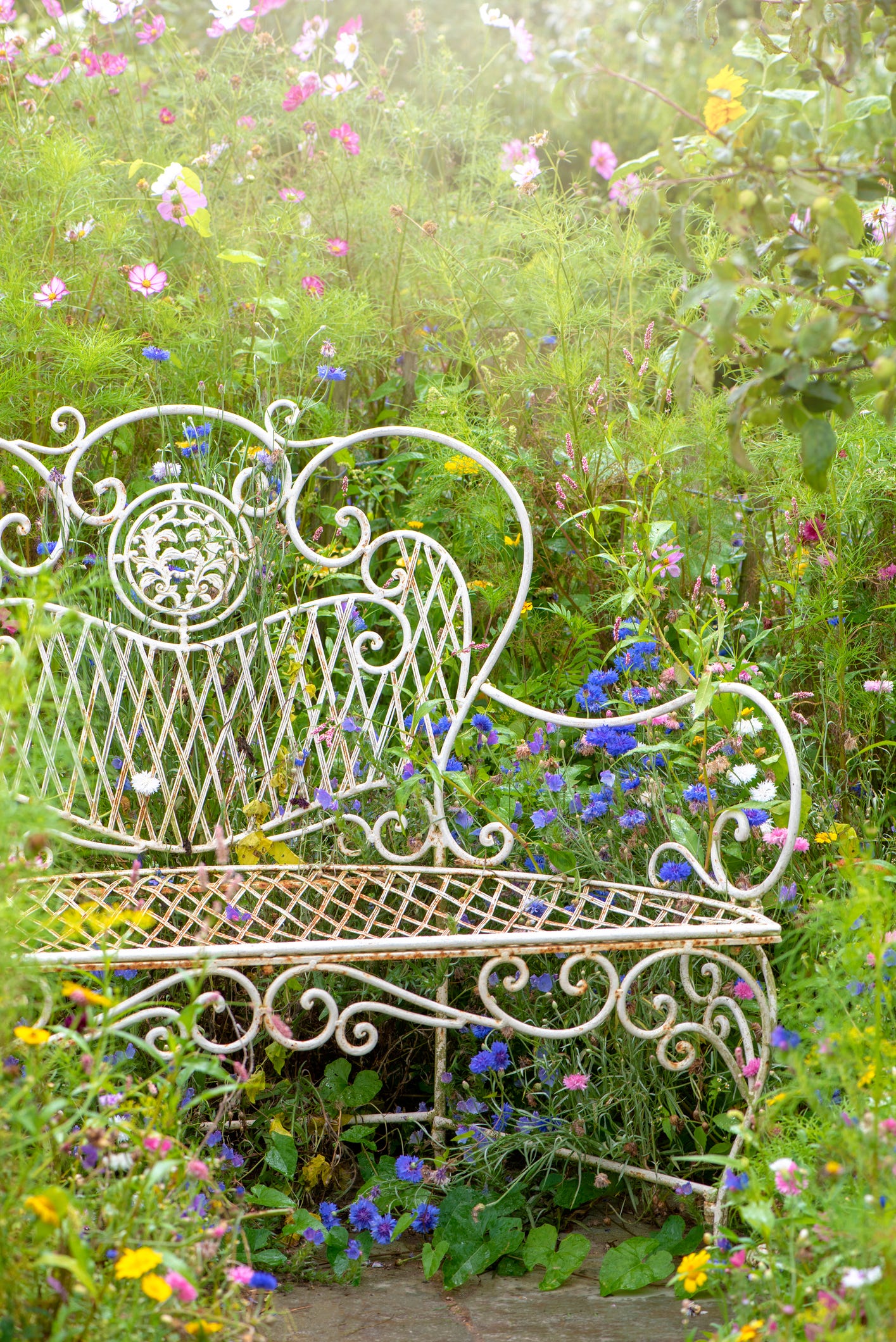 recrea el estilo bridgerton en tu jardín