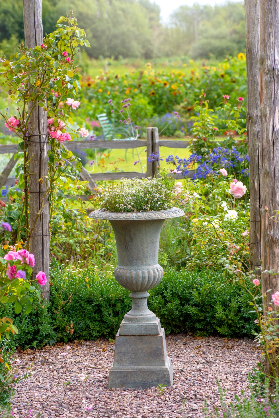 close up image of a concrete rustic garden planter in an english cottage garden with soft pink roses