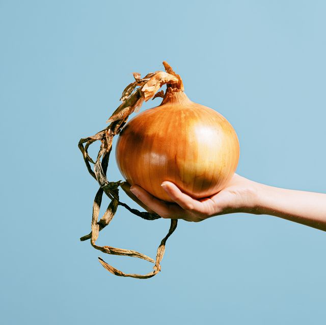 close up image of an unrecognizable young girl's hand holding a giant onion on blue background raw sweet white onion