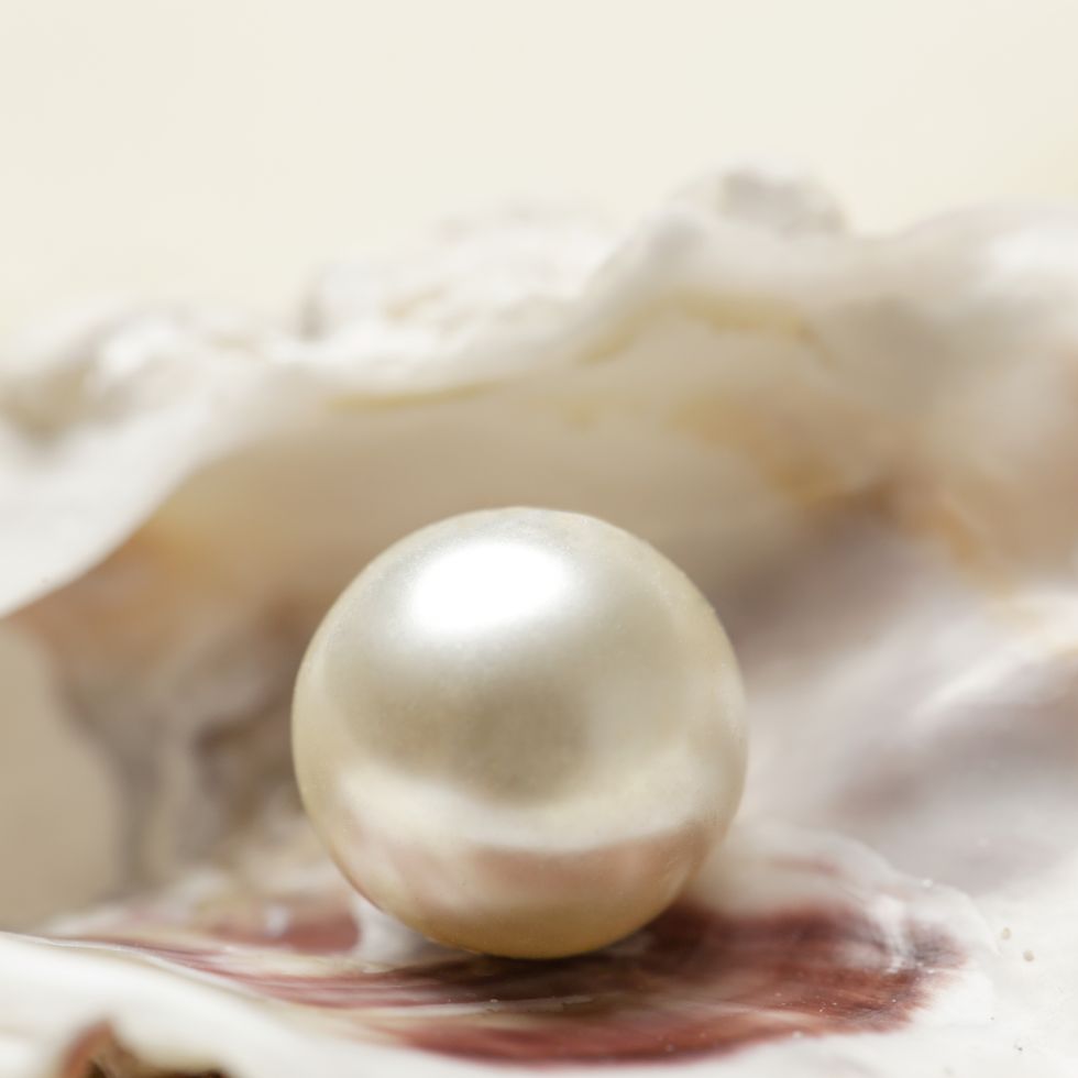 close up image of organic pearl in a shell
