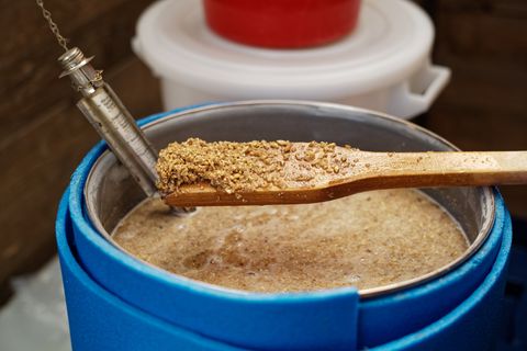 homebrew mash, home brewing, making beer at home