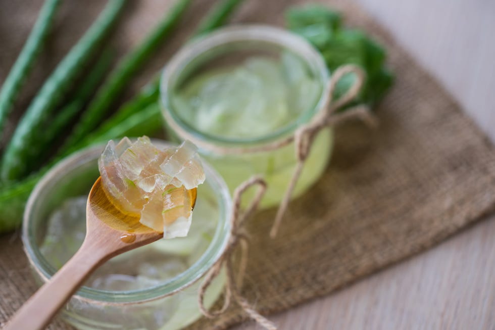 close up of aloe vera on wooden table