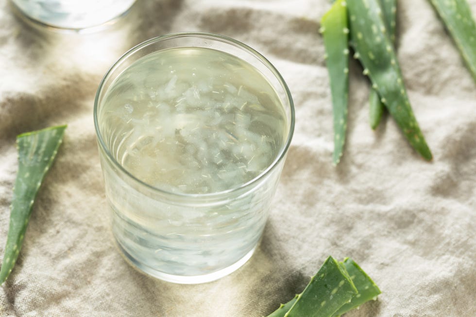 close up of aloe vera plant on table