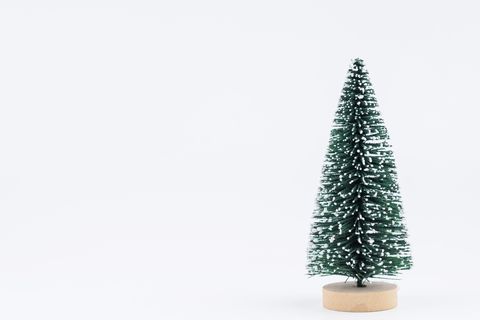 close up of christmas tree against white background
