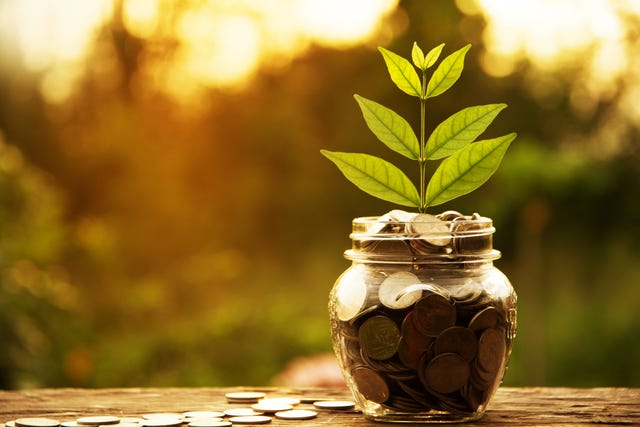 Close-Up Of Coins In Jar With Plant On Table