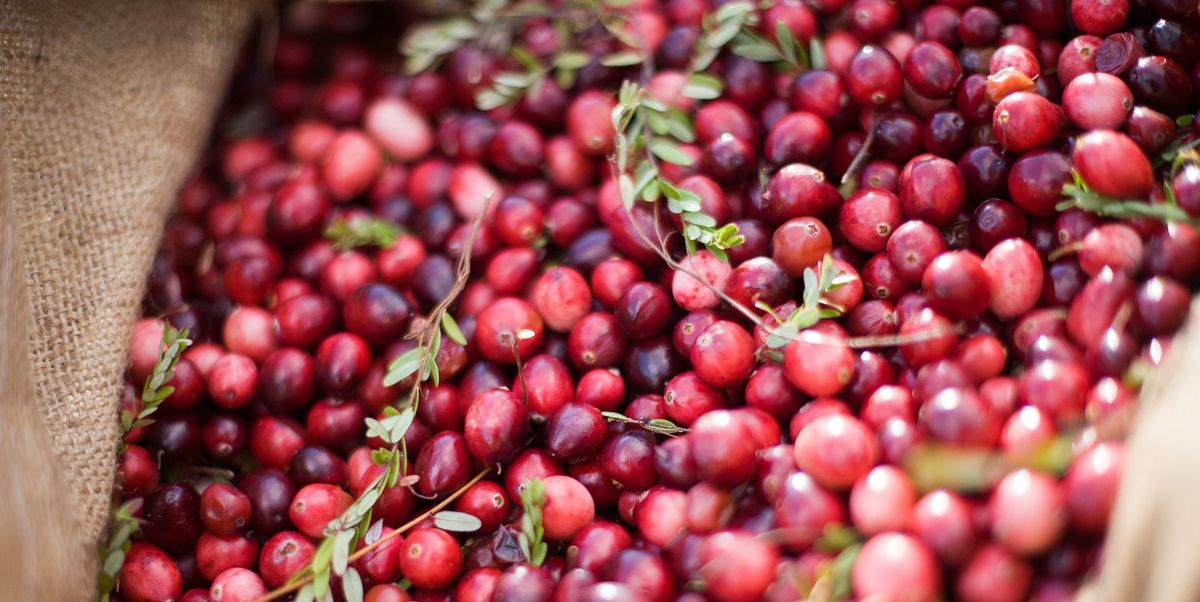 Why Cranberries Are a Seasonal Superfood You Shouldn't Skip