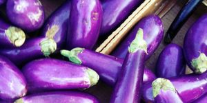 close up of eggplants on display for sale