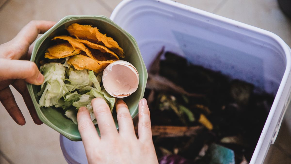 How to Compost at Home — Best Tips for DIY Compost Bin