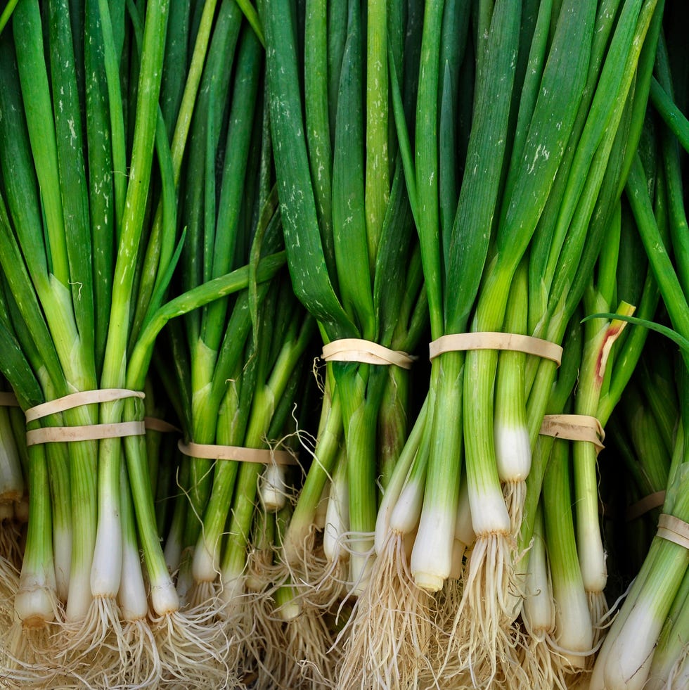Close-Up Of Green Onions Close-Up Of Green Onions