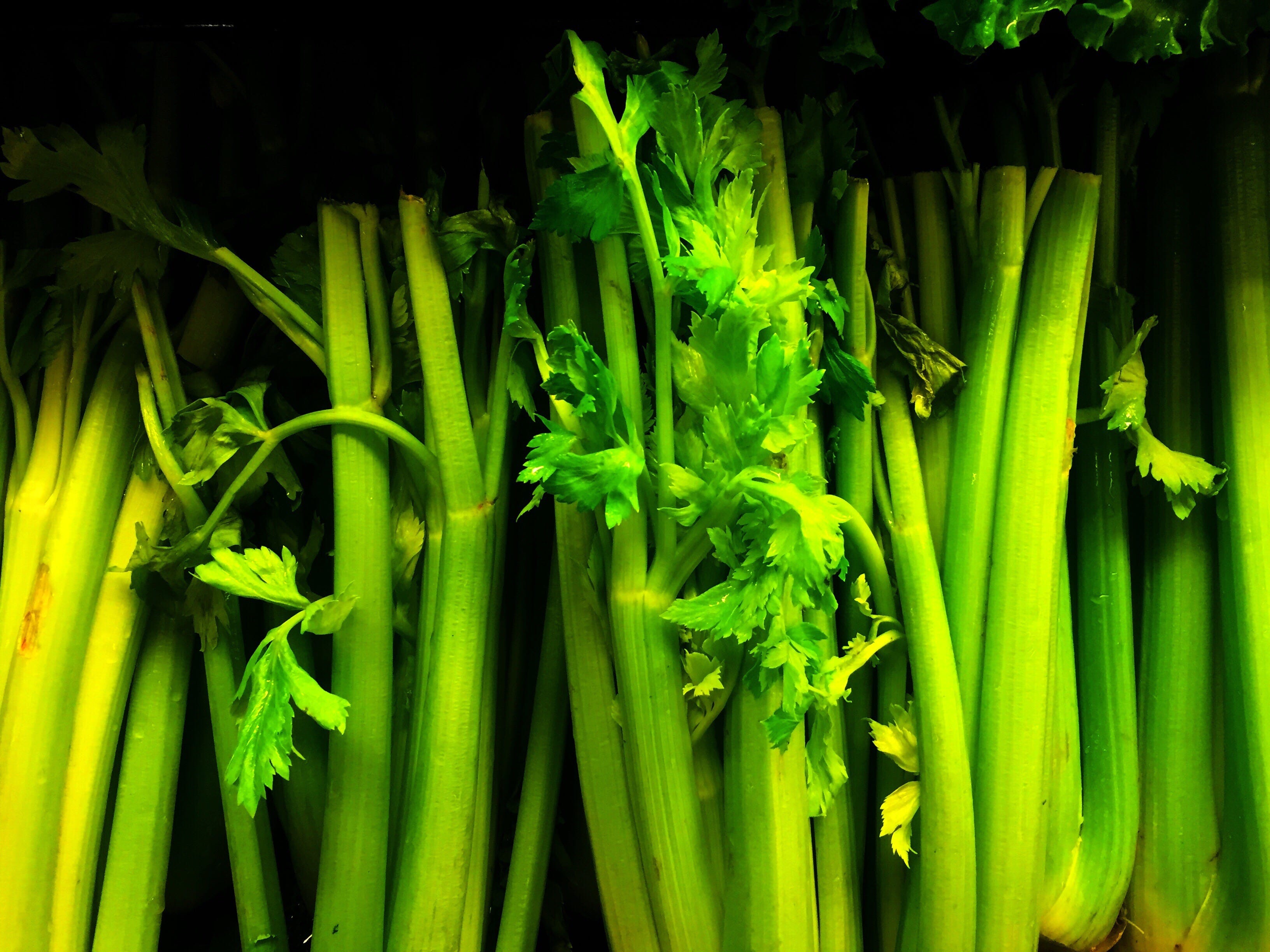 Close-Up Of Green Vegetable