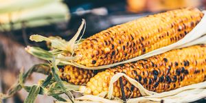 close up of grilled corn
