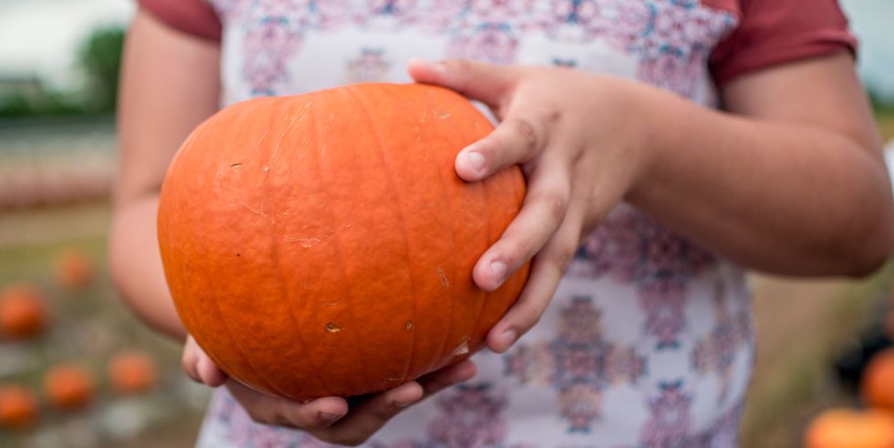 close up of hand holding pumpkin during autumn