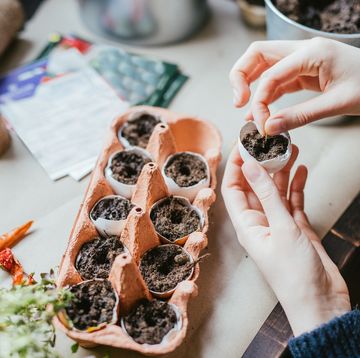 close up of hands sowing seeds