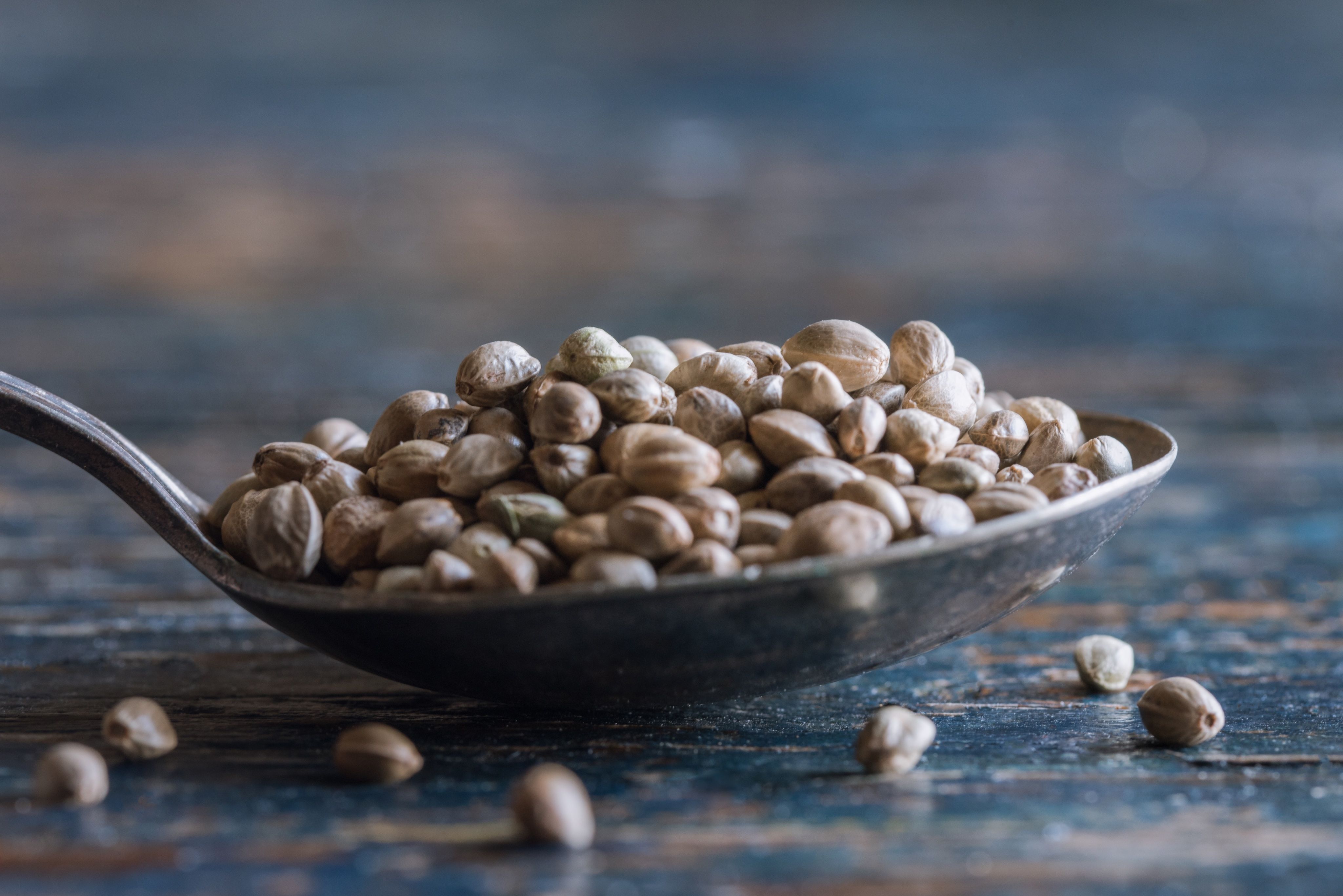 6 Seeds You Can Safely Eat And 6 To Avoid