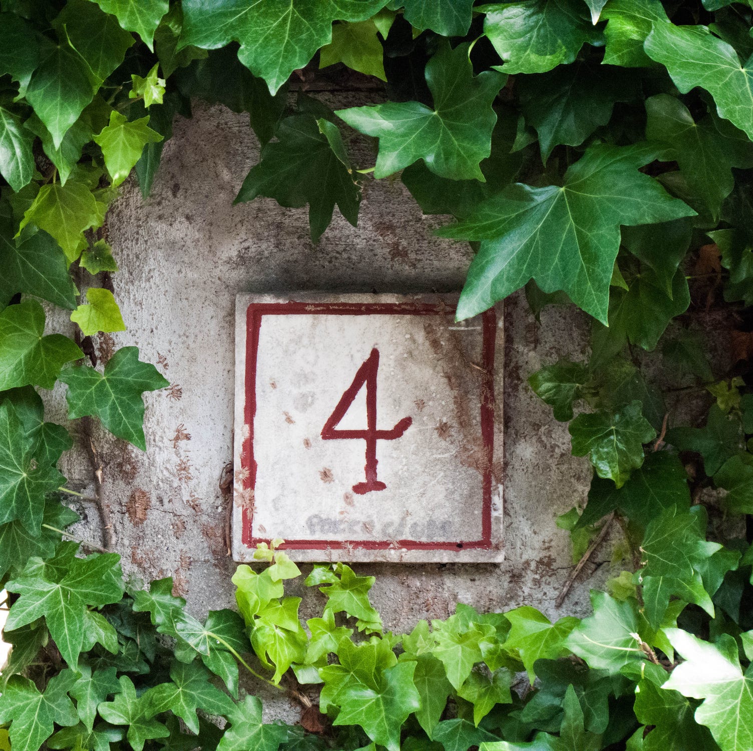 If You Keep Seeing the Number 4 Everywhere, Here's What It Means for Your Health